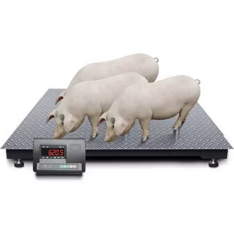 ポータブルプラットフォーム型床置き畜産用はかり（300kg〜1000kg）